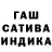 Конопля MAZAR Madina Maxutbekoa