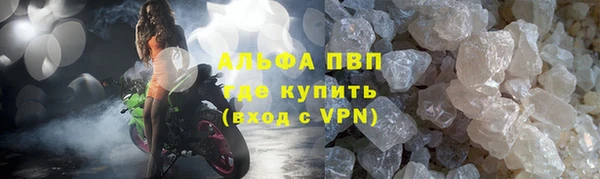 хмурый Аркадак