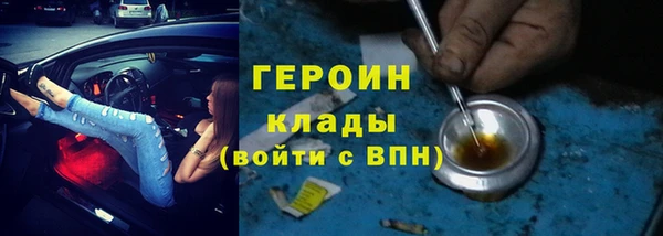 хмурый Аркадак