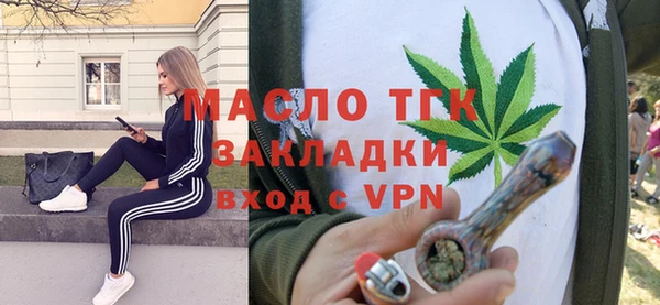 хмурый Аркадак