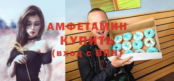хмурый Аркадак