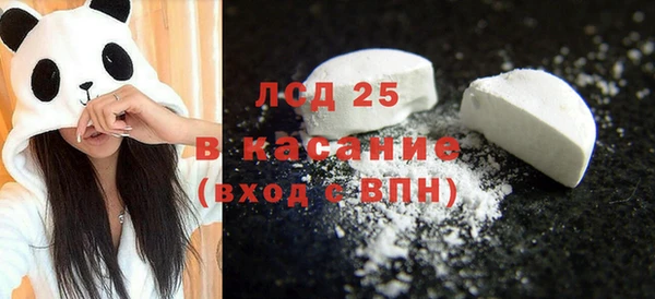 хмурый Аркадак