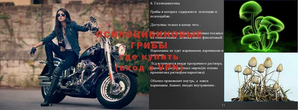 mdpv Приозерск