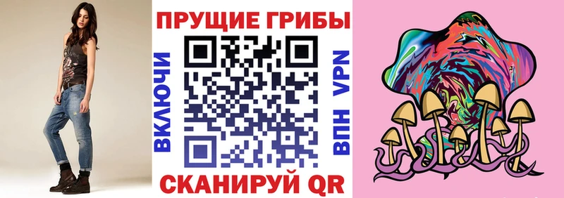 гидра маркетплейс  Рыбное  Галлюциногенные грибы Psilocybe 
